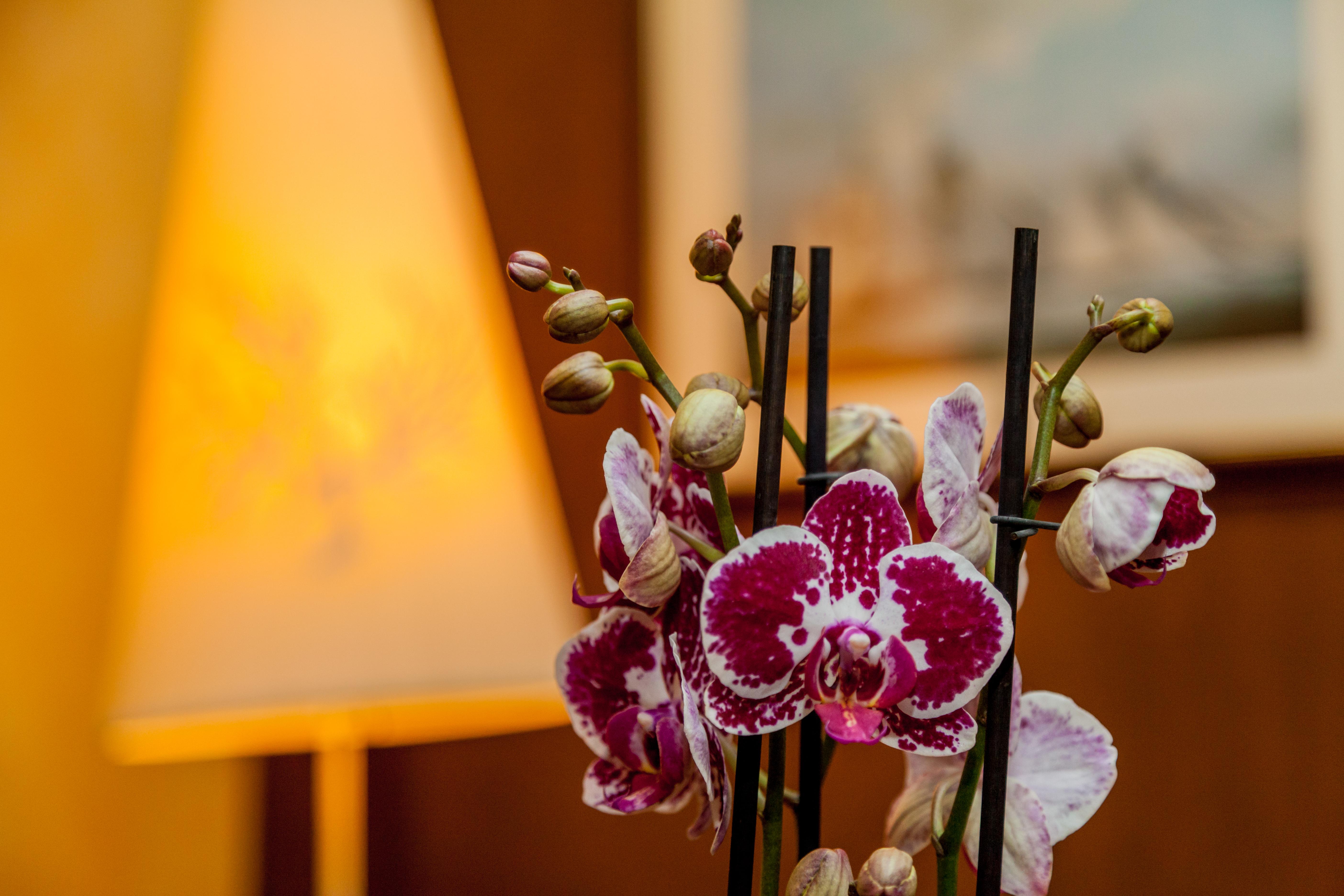La Vecchia Fonte Boutique Hotel Palau Luaran gambar